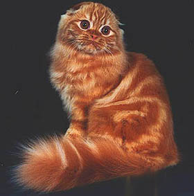 красный мрамор