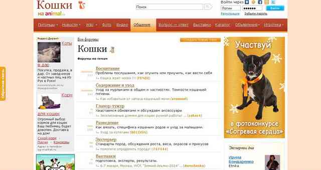 forum animal
