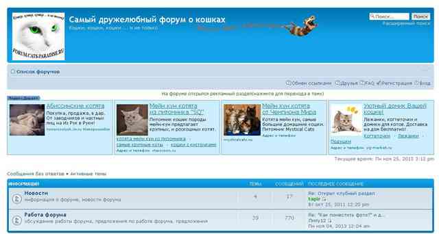 forum catsparadise