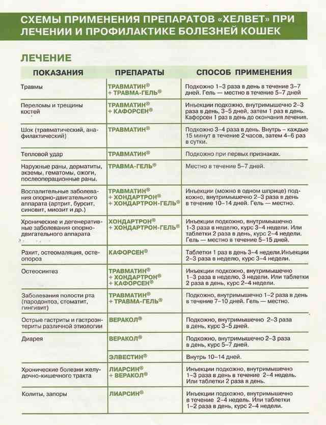 Схема профилактики и лечения кошек. страница 1