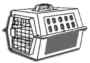 kak perevozit koshku perenoska