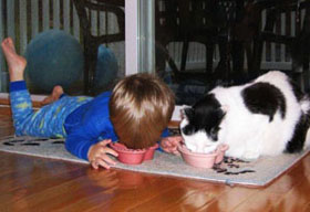 фото котенка и ребенка