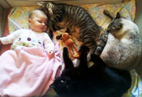 ребенок и котенок