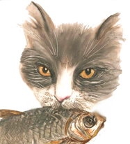 siray fish koshke2