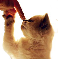 nakazivaem pravilno2