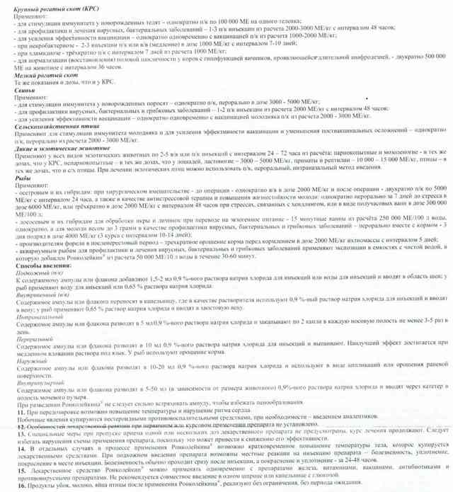 Ronkoleikin2