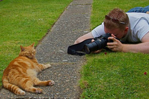 фотографируем кота