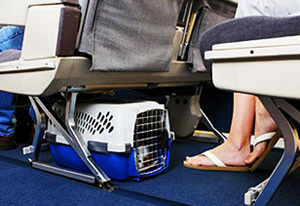 доставка в самолете