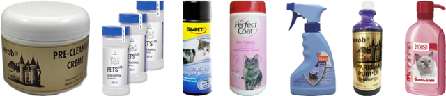 чем купать кошку