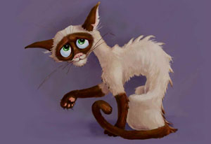 cat oblazit1