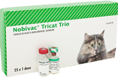 nobivac tricat вакцина
