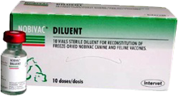 набивак форкэтс