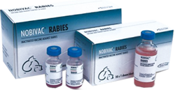 нобивак рабиес