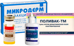 прививка от лишая
