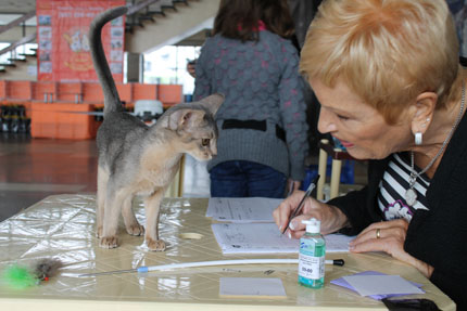 экспертиза