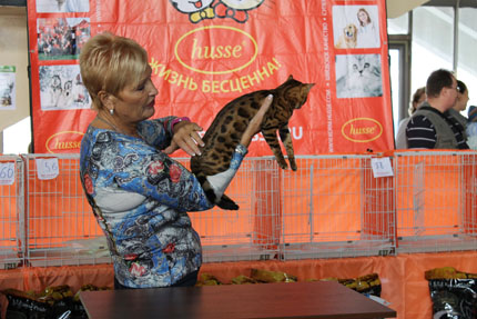 монопородное шоу