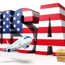 Доставка зоотоваров из США: эксклюзив, качество и экономия