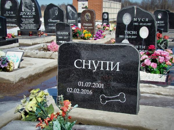 Забота о питомцах после их ухода: важность достойного прощания
